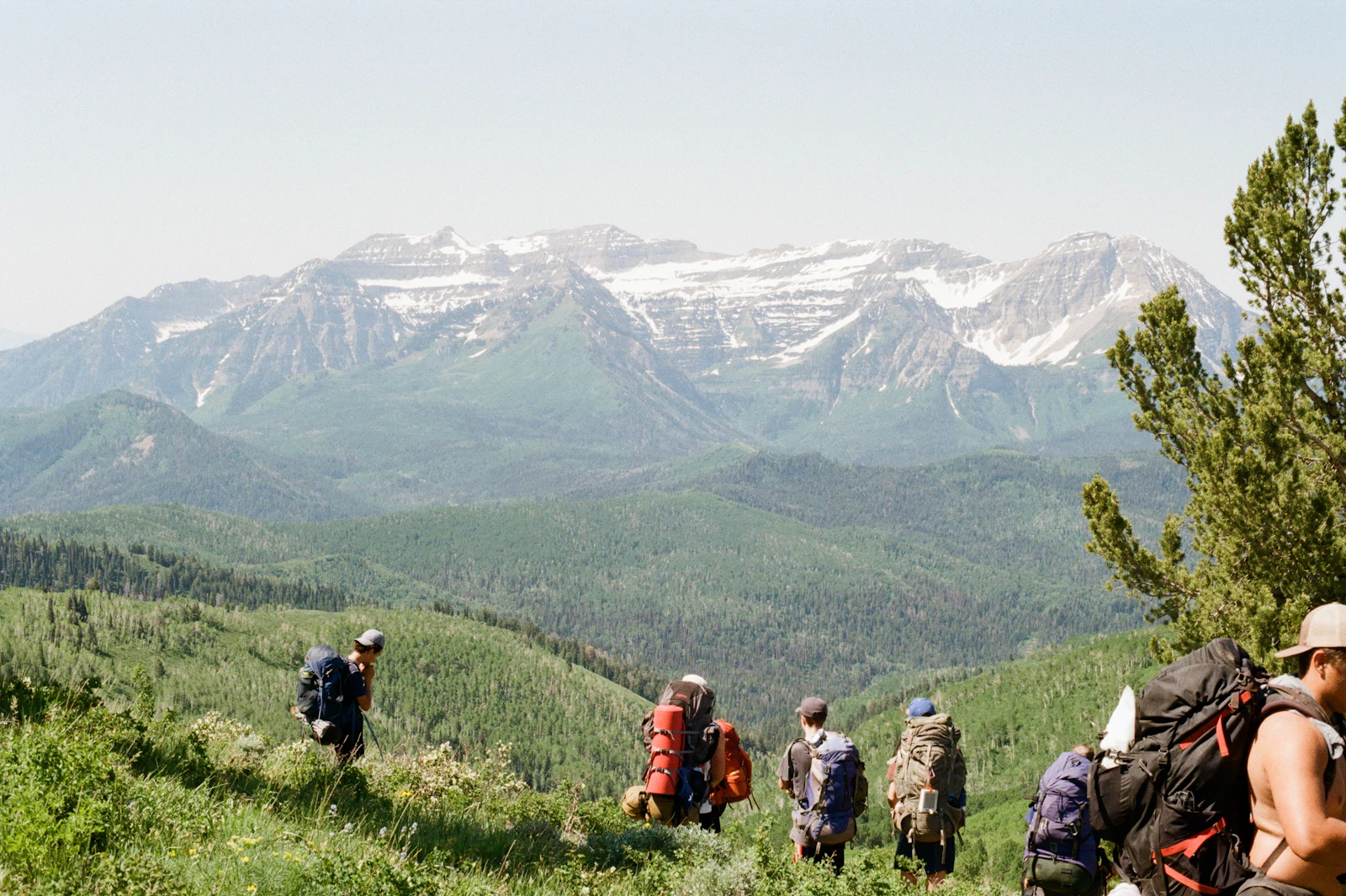 Escursionisti in fila su un sentiero tra prati verdi, con montagne innevate sullo sfondo