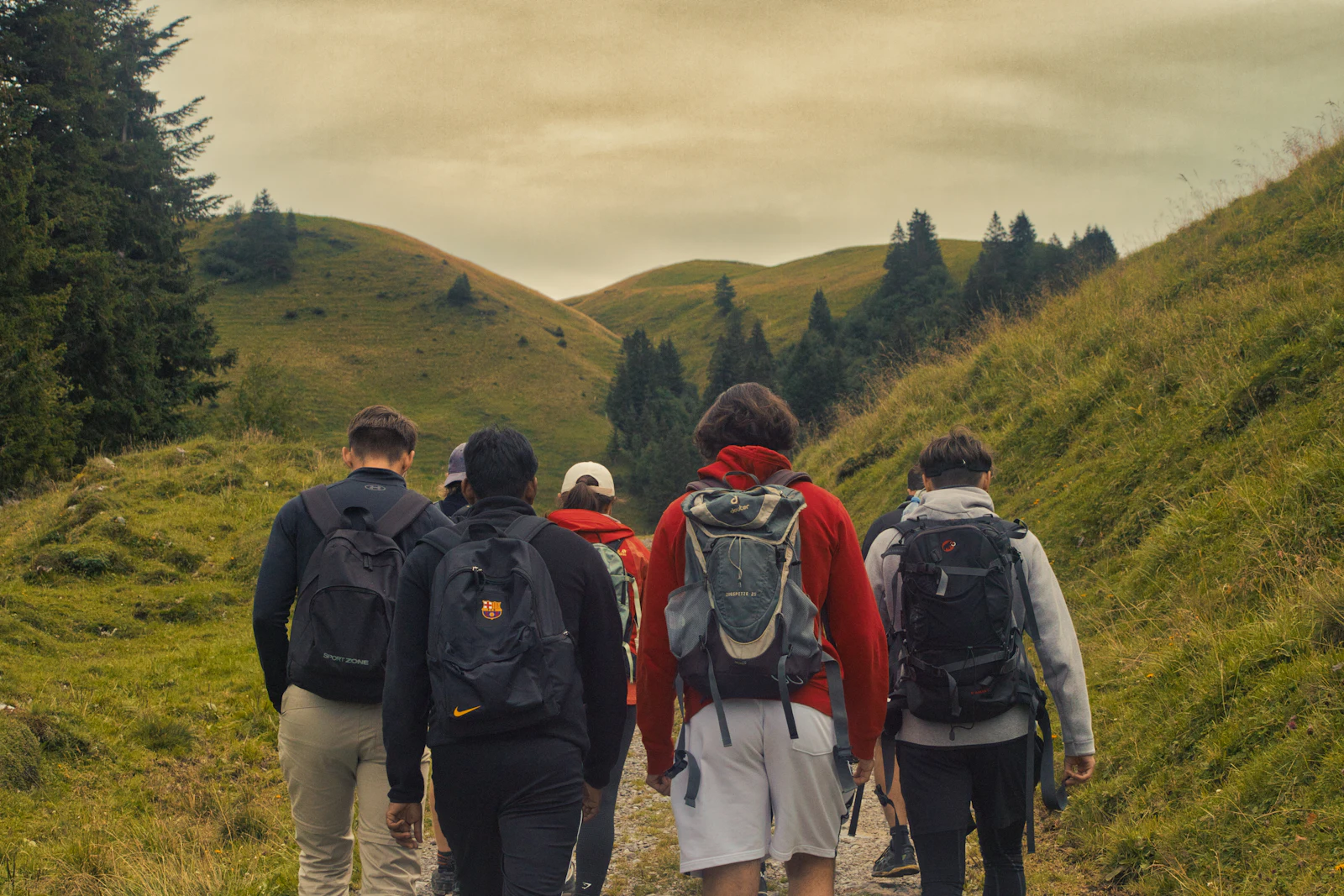 Gruppo di amici con lo zaino che cammina su una strada sterrata tra prati di montagna
