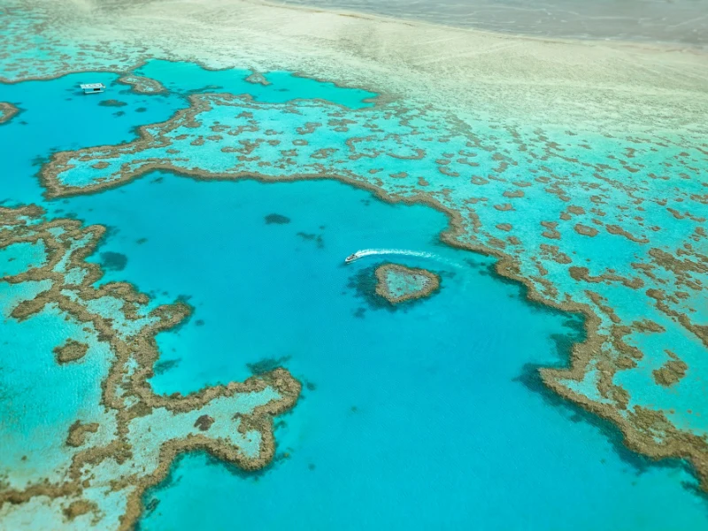 Grande Barriera Corallina e Whitsunday