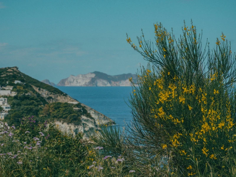 Ponza e le isole Ponziane