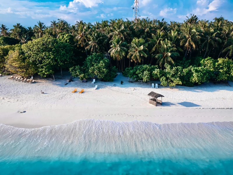 Baa Atoll e Hanifaru Bay