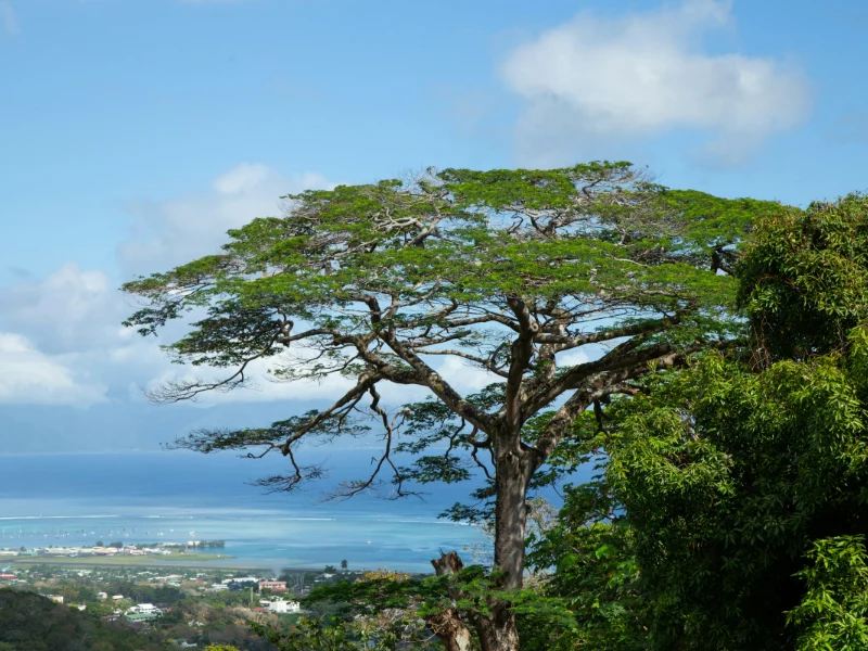 Tahiti e Papeete
