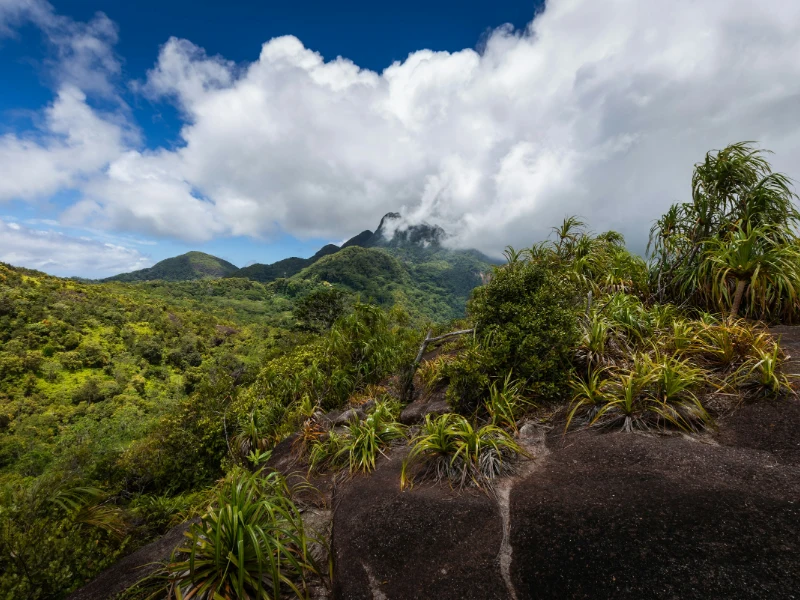 Parco nazionale del Morne Seychellois (Mahé)