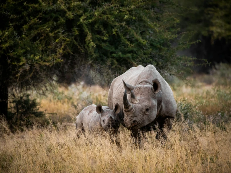 Parco Nazionale Kruger e riserve private