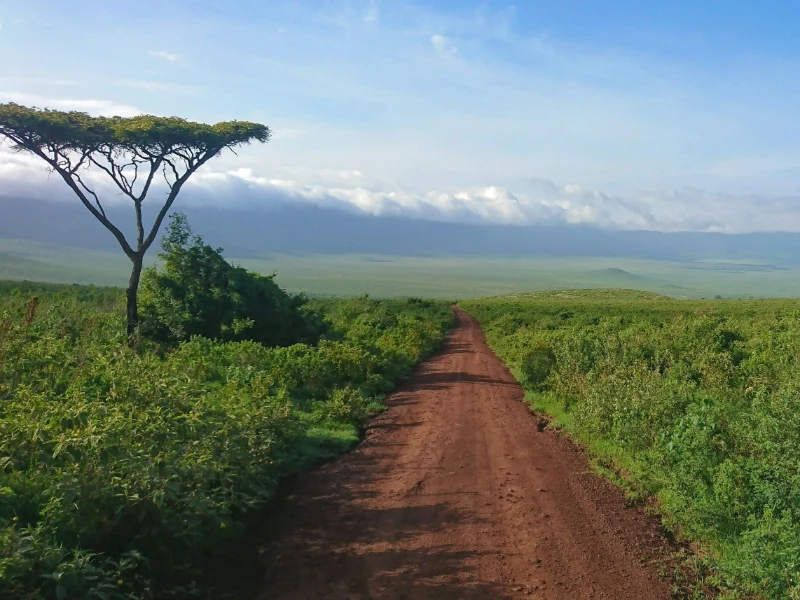 Cratere di Ngorongoro