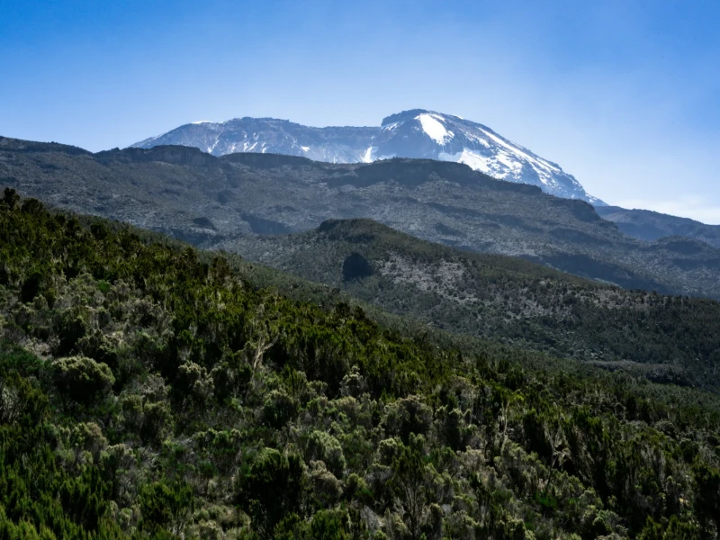 Kilimanjaro