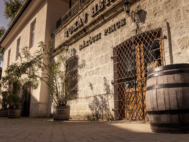 Tokaj e la sua regione vinicola