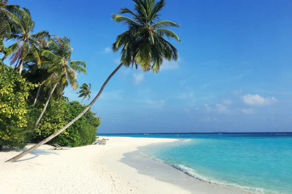 Maldive