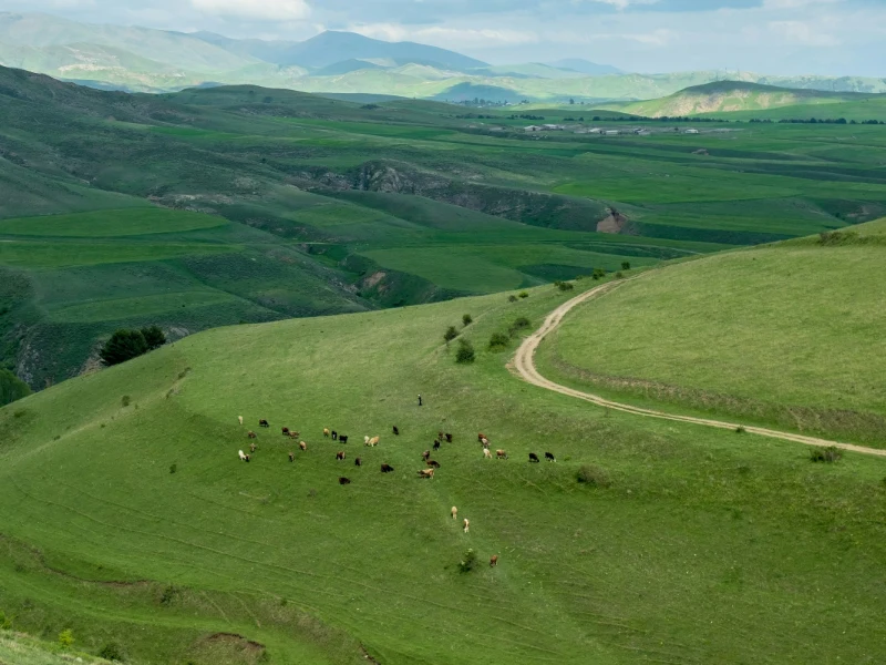 Armenia - scorcio