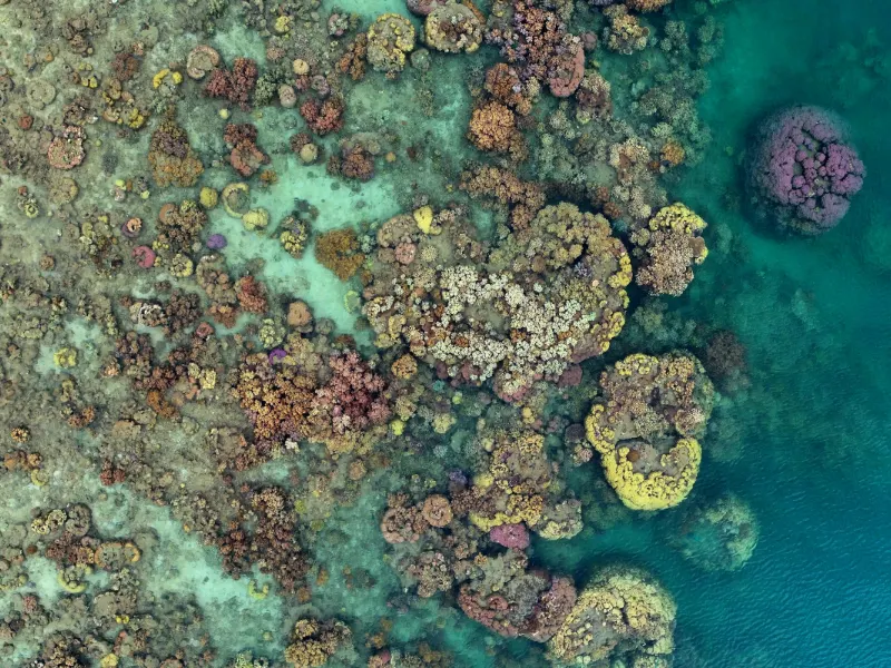 Australia - scorcio