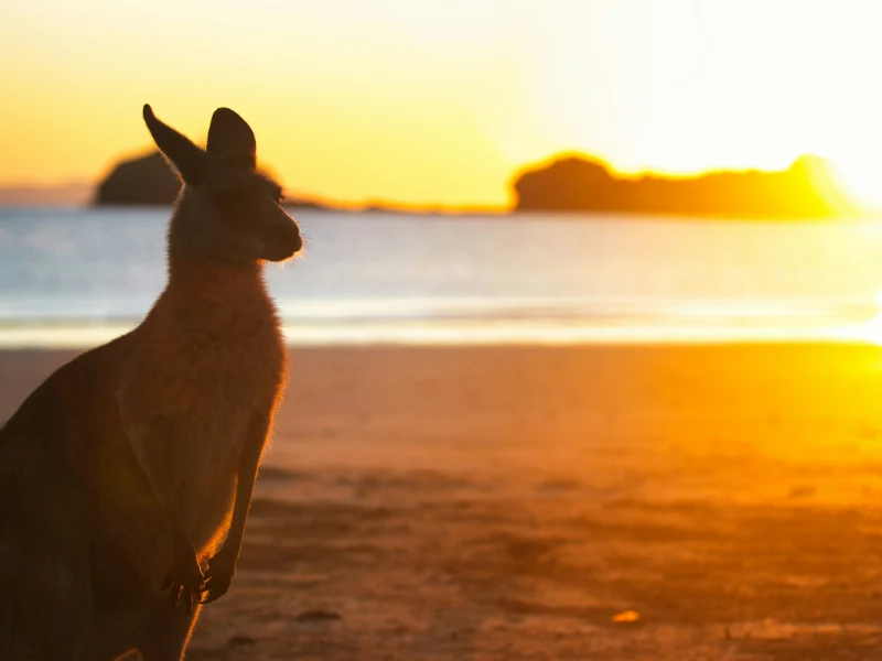 Australia - scorcio