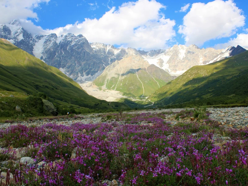 Georgia - scorcio