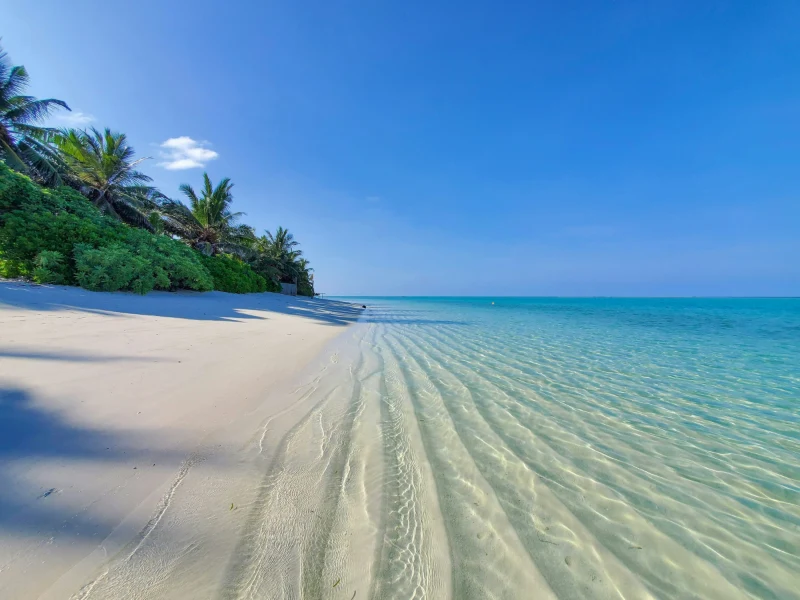 Maldive - scorcio