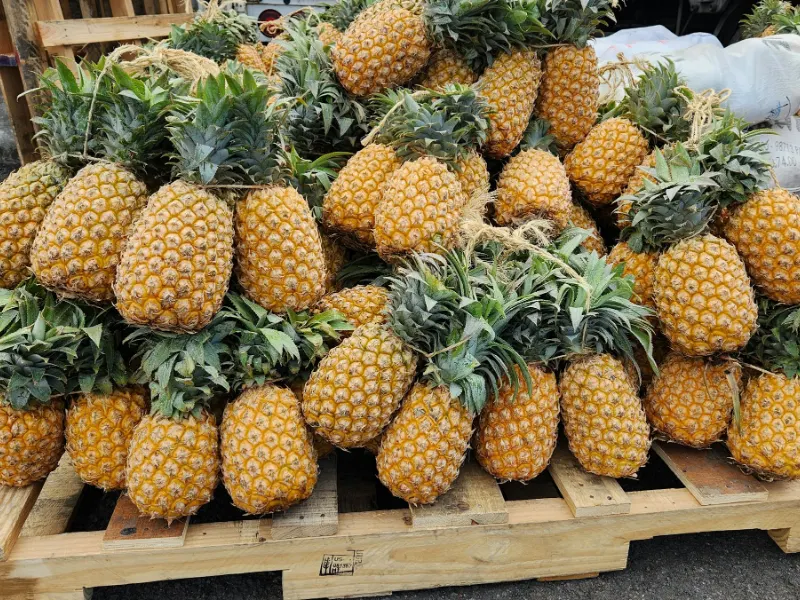 Polinesia Francese - scorcio