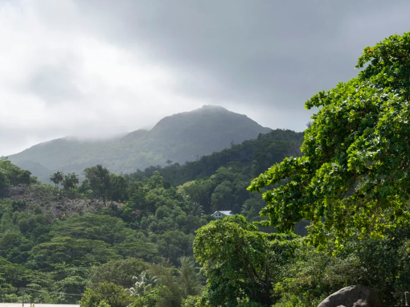 Seychelles - scorcio