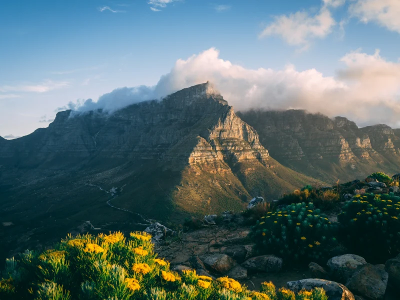 Sudafrica - scorcio