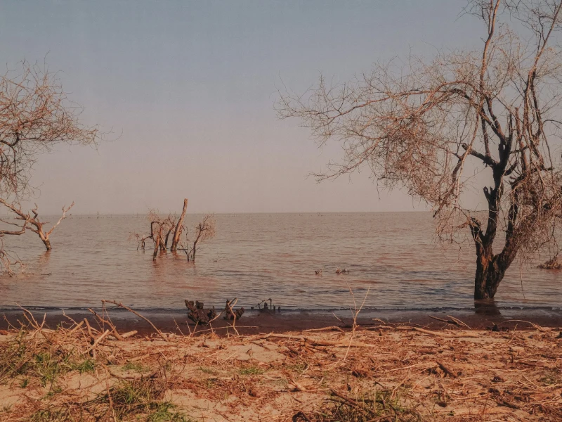 Tanzania - scorcio