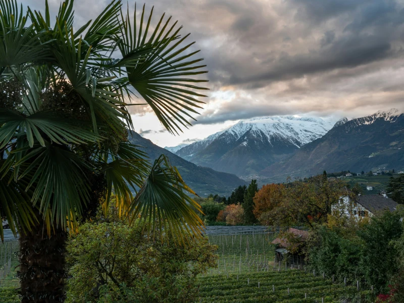 Trentino-Alto Adige - scorcio