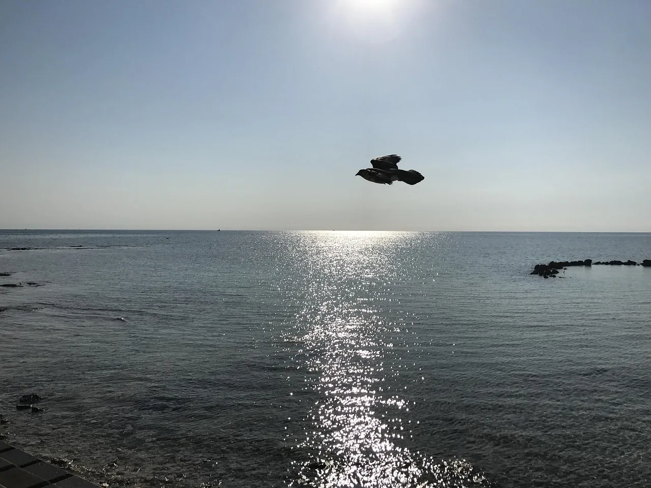 Mare aperto con i riflessi del sole