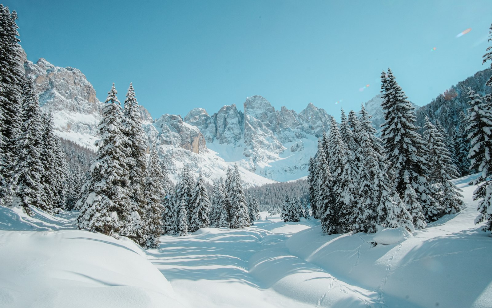 Paesaggi innevati