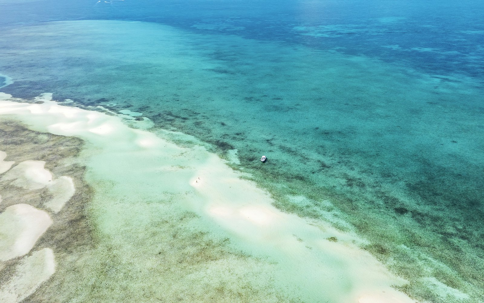 Il mare delle Bahamas